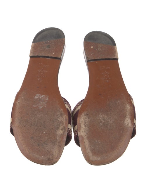 Christian Dior Canvas Printed Slides