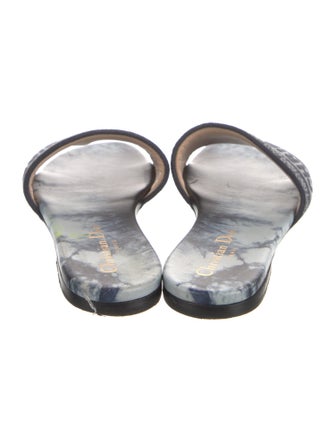 Christian Dior Canvas Graphic Print Slides