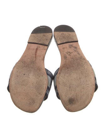 Christian Dior Canvas Graphic Print Slides