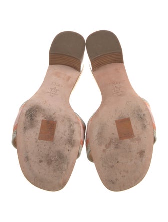 Christian Dior Animal Print Slides