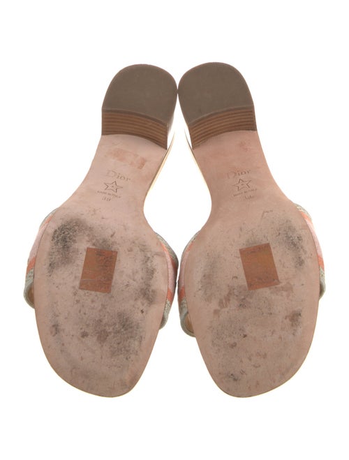 Christian Dior Animal Print Slides