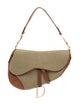 Christian Dior Canvas Saddle
