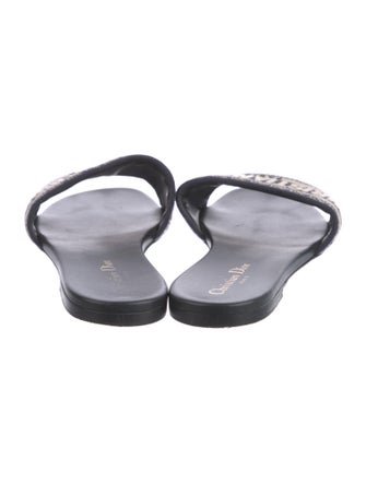 Christian Dior Printed Embroidered Accent Slides