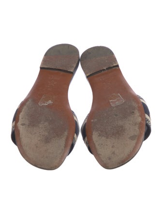 Christian Dior Printed Embroidered Accent Slides