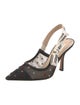 Christian Dior Mesh Graphic Print Slingback Pumps