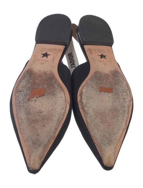 Christian Dior Printed Slingback Flats