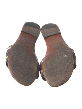 Christian Dior Canvas Printed Slides