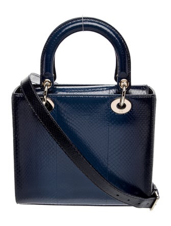 Christian Dior Python Lady Dior Medium 2023