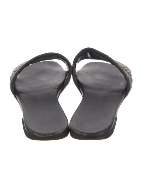 Christian Dior Canvas Graphic Print Slides