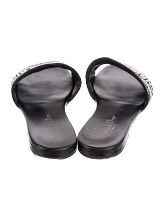 Christian Dior Canvas Printed Flats