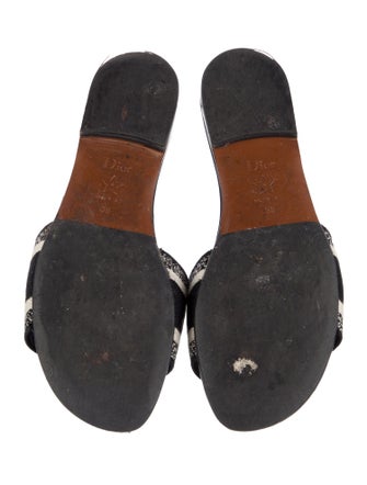 Christian Dior Canvas Printed Flats