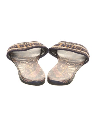 Christian Dior Canvas Printed Slides