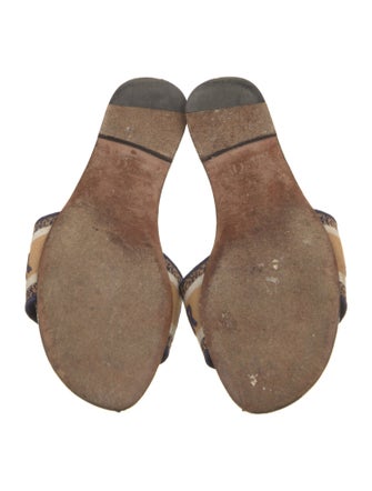 Christian Dior Canvas Printed Slides