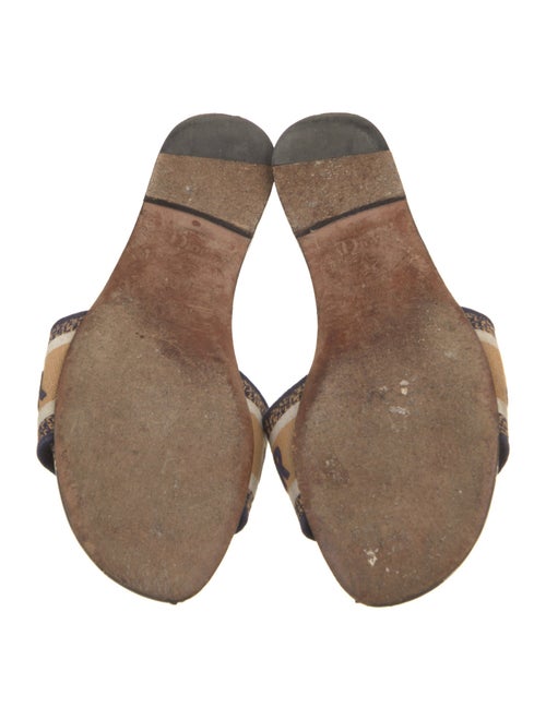 Christian Dior Canvas Printed Slides