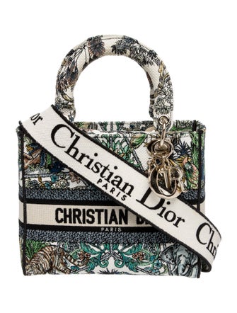 Christian Dior Canvas D-Lite 2023