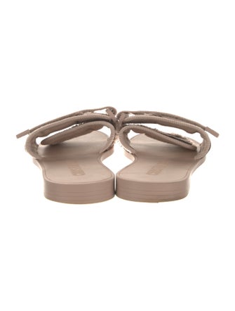 Christian Dior DiorEvolution Slides