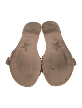 Christian Dior DiorEvolution Slides