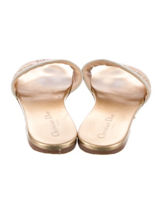 Christian Dior Canvas Printed Slides