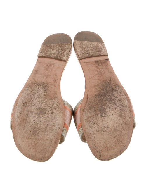 Christian Dior Canvas Printed Slides