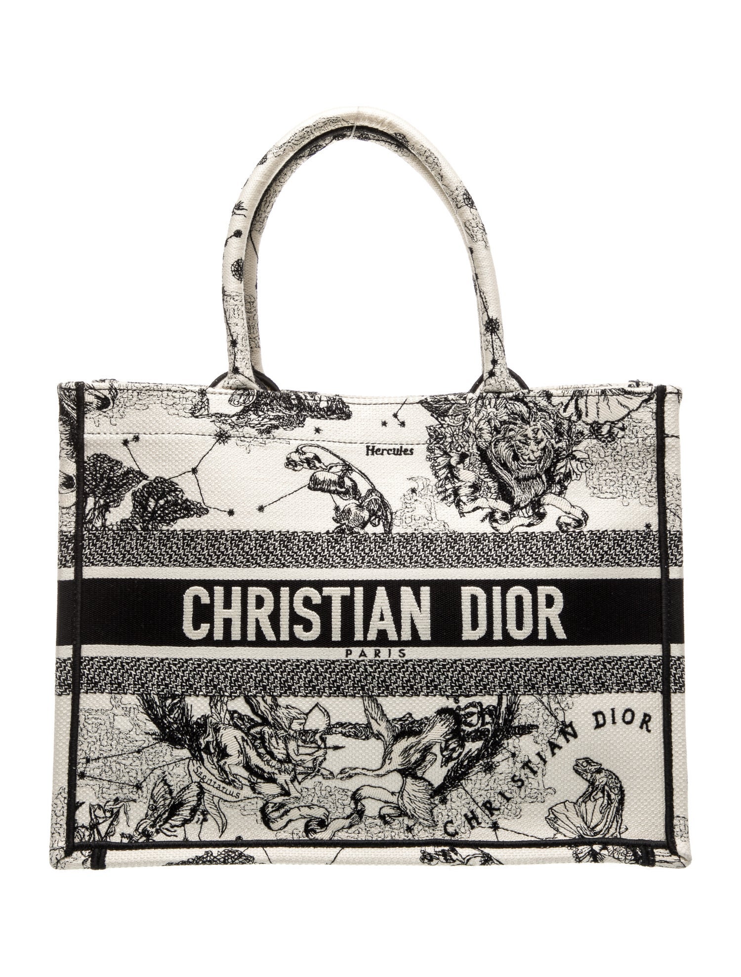 Christian Dior Canvas Book Medium 2022
