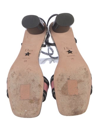 Christian Dior Canvas Printed Sandals