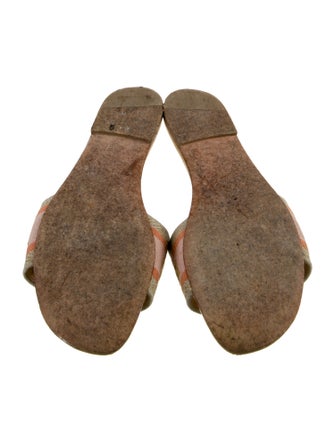 Christian Dior Canvas Graphic Print Slides