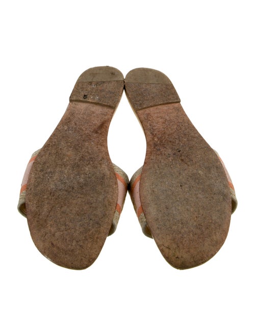 Christian Dior Canvas Graphic Print Slides