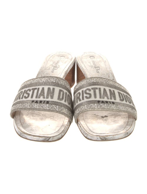 Christian Dior Canvas Printed Slides