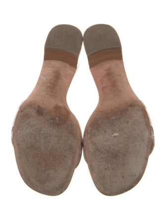 Christian Dior Canvas Printed Slides