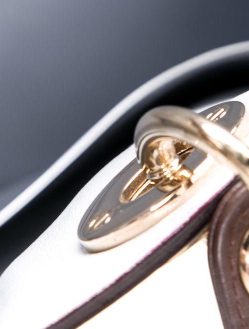 Christian Dior Leather Diorissimo Medium