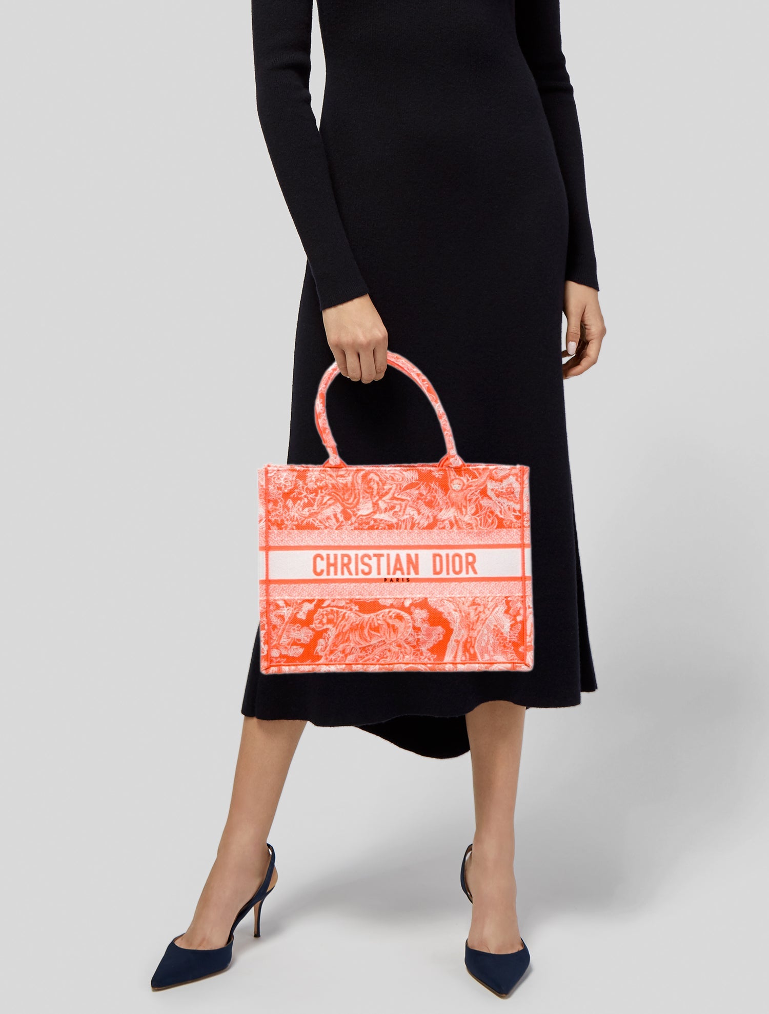 Christian Dior Canvas Book Medium 2022 w/ Tags