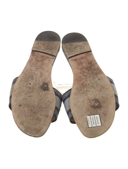 Christian Dior Canvas Printed Slides