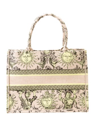 Christian Dior Canvas Book Medium 2024