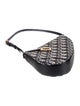 Christian Dior Diorissimo Saddle Pochette 2024