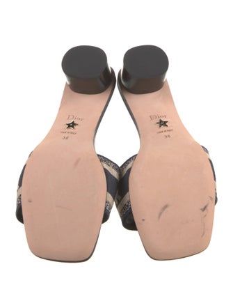 Christian Dior Printed Leather Trim Embellishment Slides