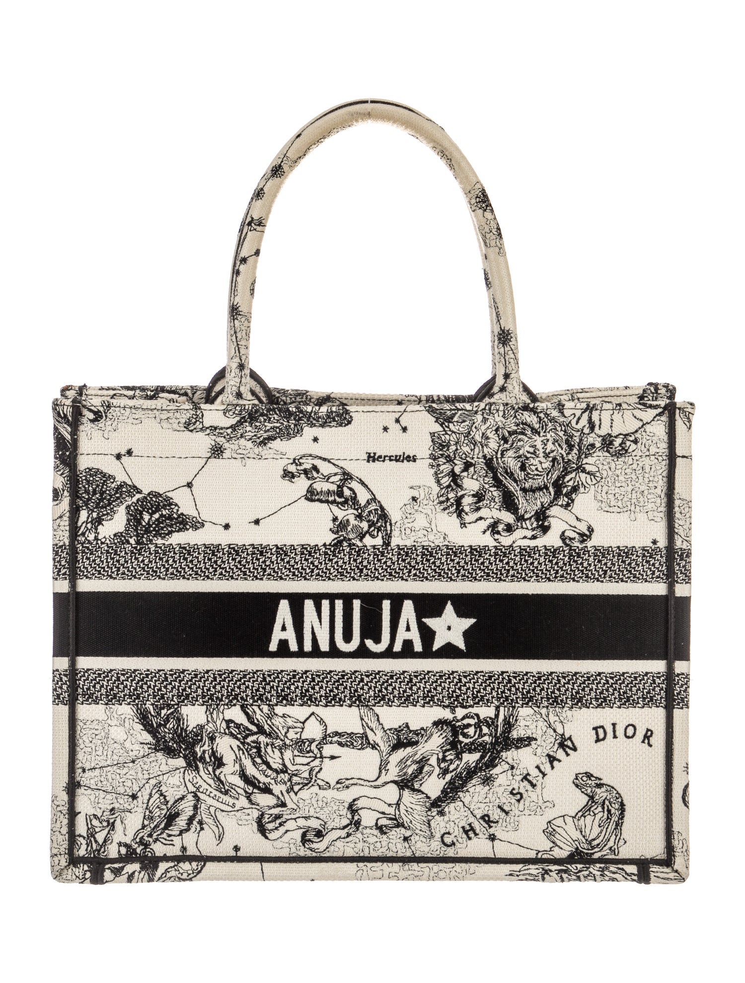 Christian Dior Toile de Jouy Zodiac Book Medium