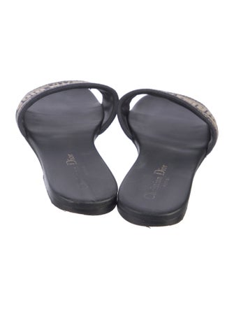 Christian Dior Printed Slides