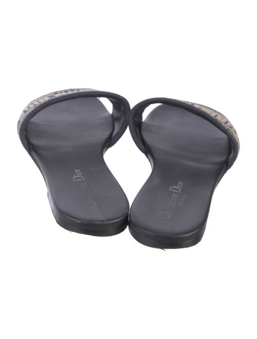 Christian Dior Printed Slides
