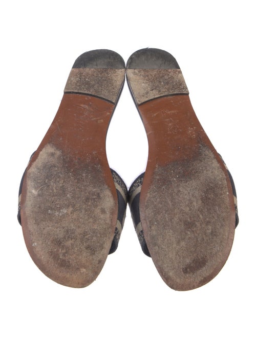 Christian Dior Printed Slides