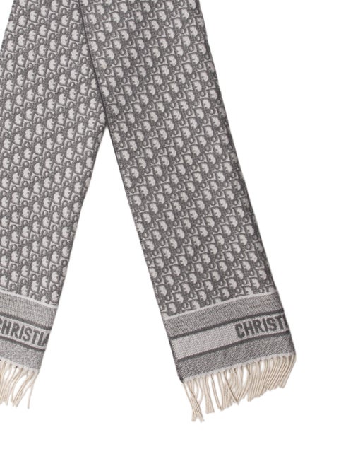 Christian Dior Printed Scarf