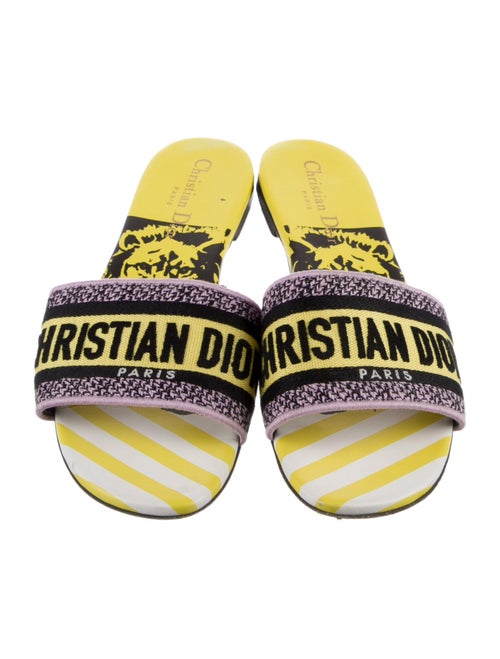 Christian Dior Canvas Printed Slides