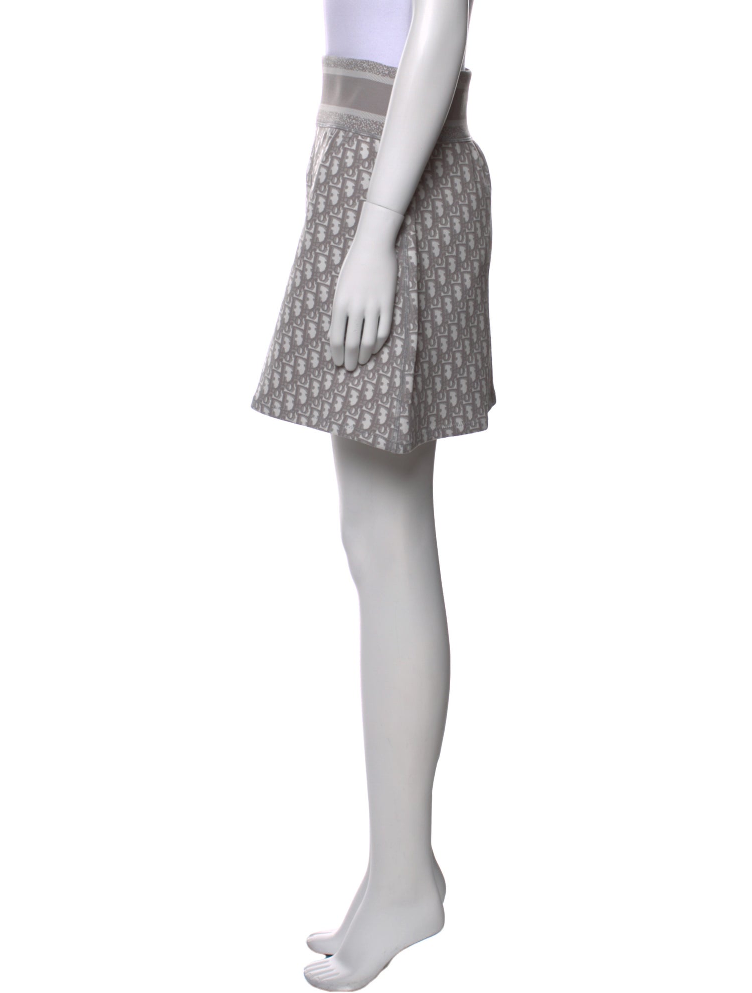 Christian Dior 2021 Mini Skirt