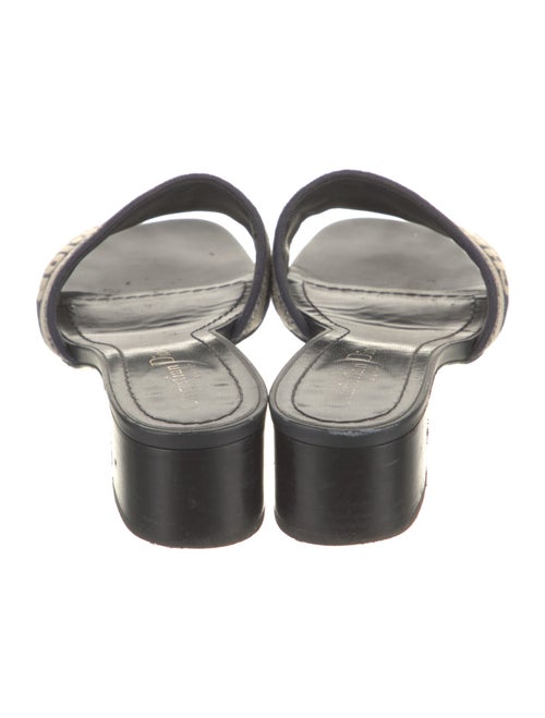 Christian Dior Canvas Printed Slides