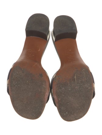 Christian Dior Canvas Printed Slides