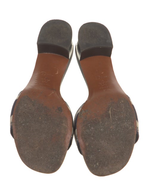 Christian Dior Canvas Printed Slides