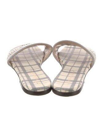 Christian Dior Canvas Printed Slides