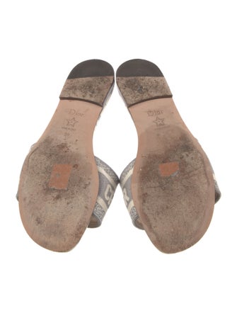 Christian Dior Canvas Printed Slides