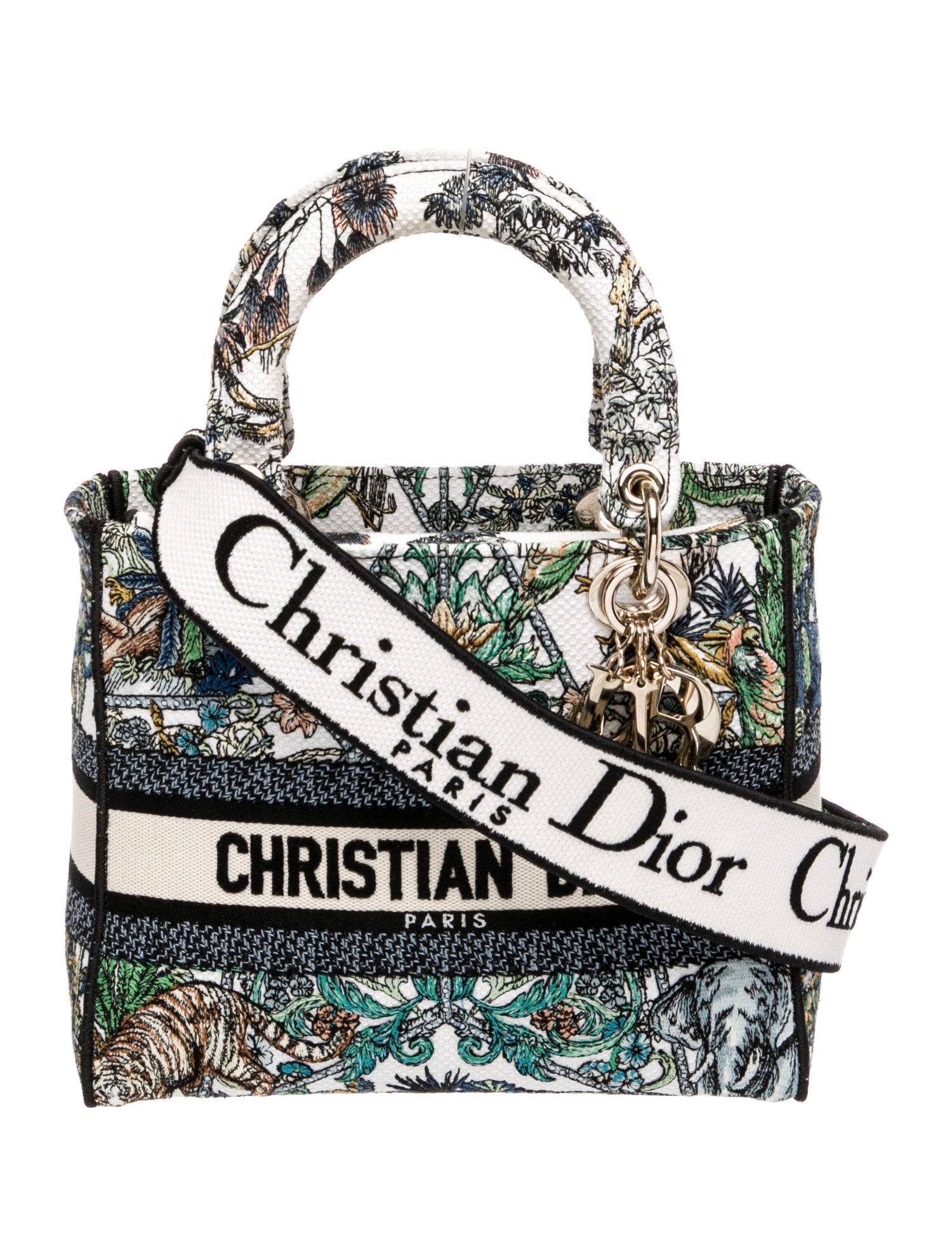 Christian Dior Canvas D-Lite Medium 2023