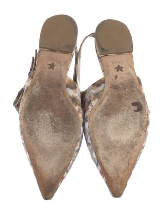 Christian Dior Printed Slingback Flats