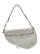 Christian Dior Leather Saddle